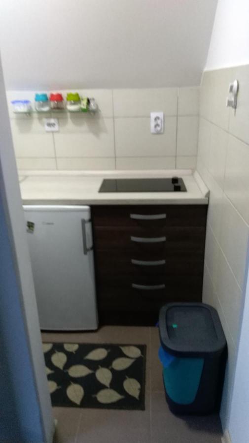 Apartman Vukasin Kopaonik Exterior foto